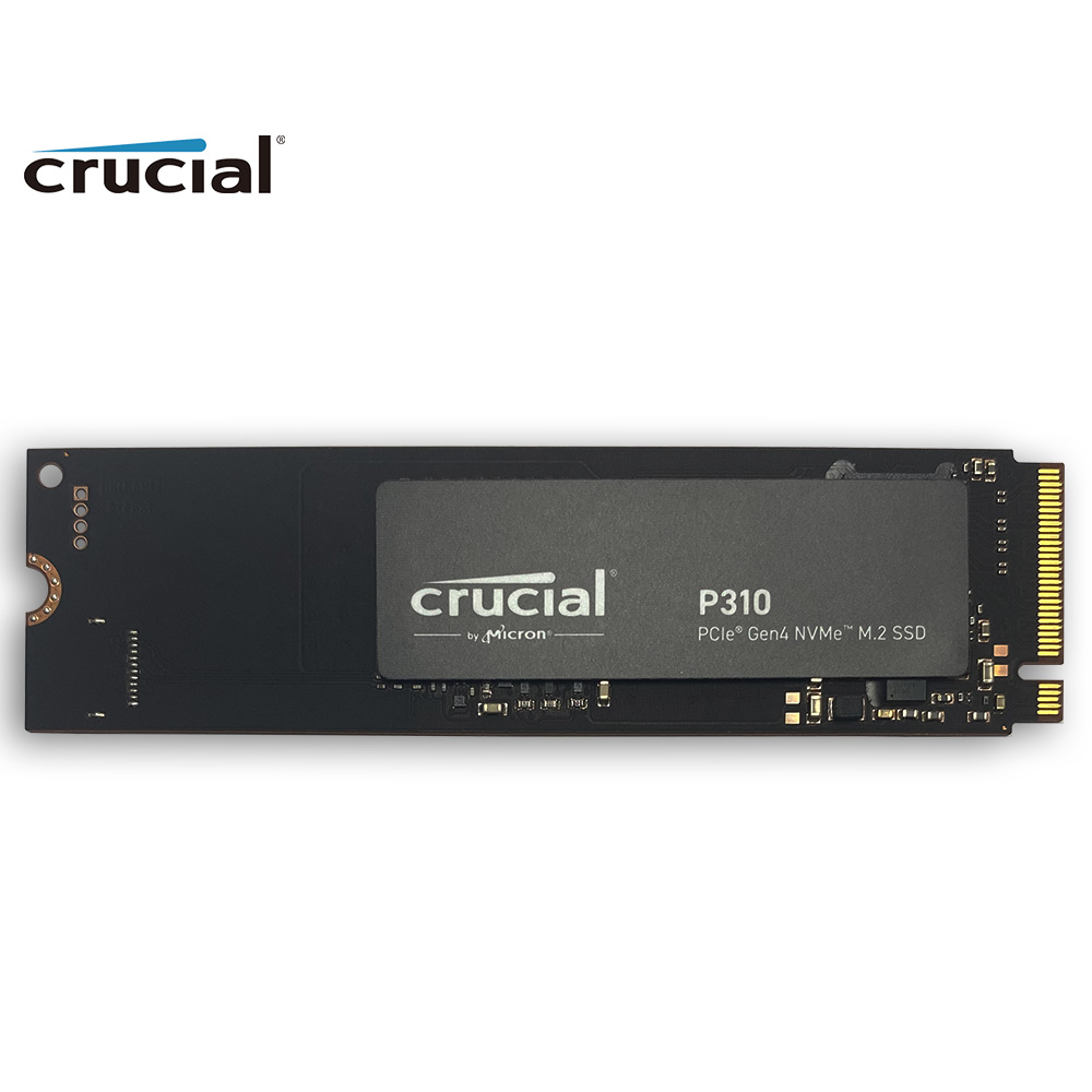 Crucial P310 1 To 2280 PCIe Ge - Samsung Ssd 980 Pro avis et prix
